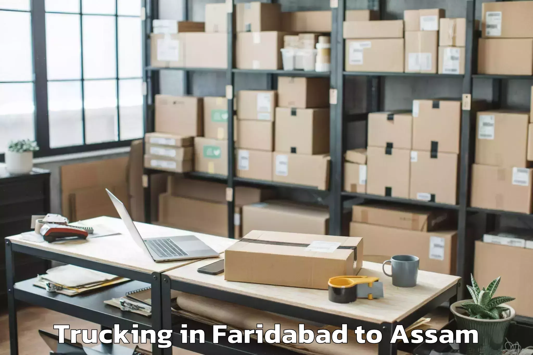 Get Faridabad to Haflong Trucking